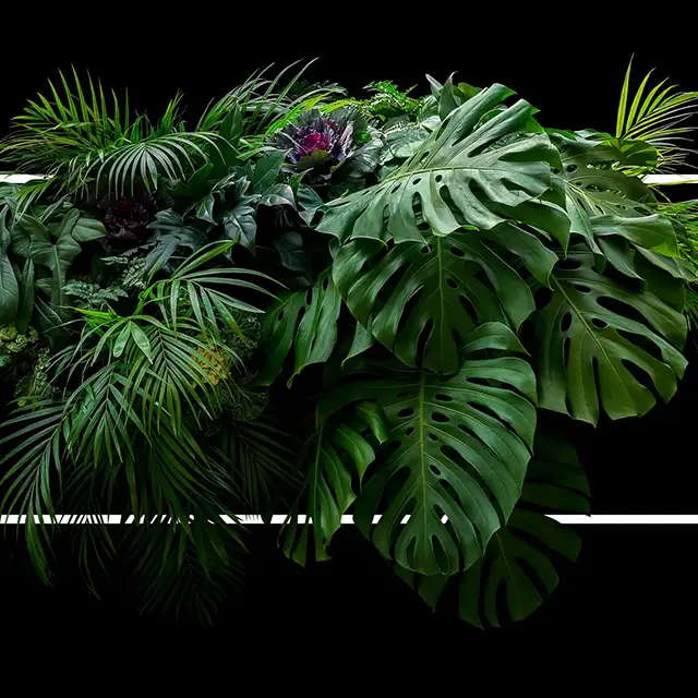 Professional Tree Services