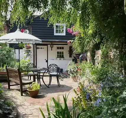 Professional Tree Services